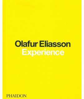 Olafur Eliasson: Experience