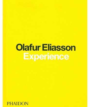 Olafur Eliasson: Experience