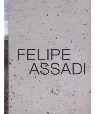 Felipe Assadi