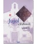 Jujol a Vallmoll