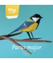 Ocell de paper - Parus Major