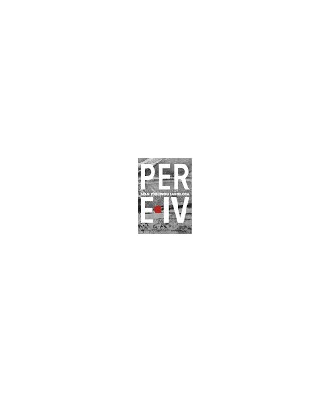 PERE.IV SCAN POBLENOU BARCELONA