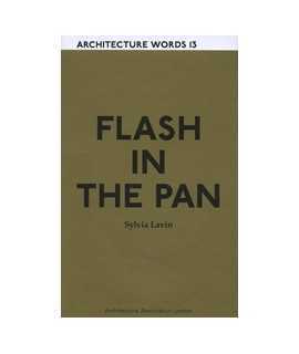 Architecture Words, 13: Flash in the pan