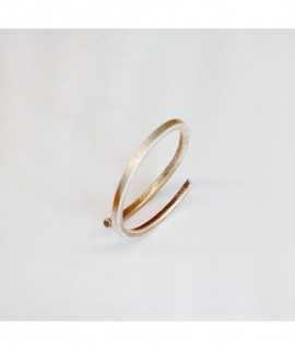 Anillo Minimal