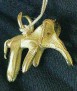 Collar Elephantidae