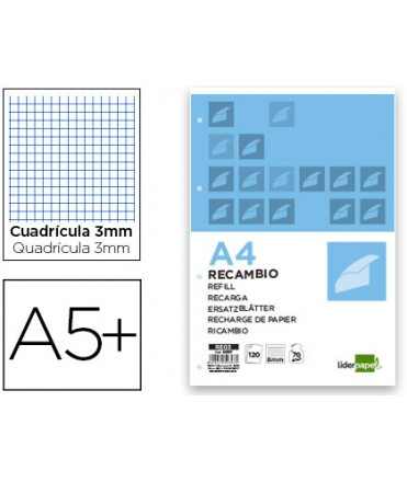 Recambio liderpapel cuarto 100 hojas 60g/m2 cuadro 3mm con margen 6 taladros