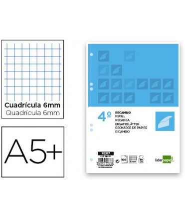 Recambio liderpapel cuarto 100 hojas 60g/m2 cuadro 6mm con margen 6 taladros