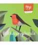 Ocell de paper - Erithacus Rubecula