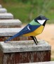 Ocell de paper - Parus Major