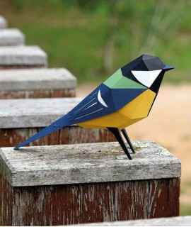 Ocell de paper - Parus Major