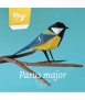 Ocell de paper - Parus Major