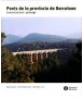 Ponts de la província de Barcelona: comunicacions i paisatge